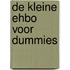 De kleine EHBO voor Dummies