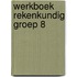 Werkboek Rekenkundig groep 8