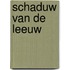 Schaduw van de leeuw
