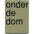 Onder de Dom