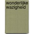 Wonderlijke wazigheid