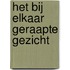 Het bij elkaar geraapte gezicht