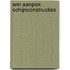 Wet aanpak schijnconstructies