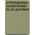 Artikelsgewijze compmentaar bij de grondwet