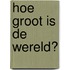 Hoe groot is de wereld?