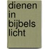 Dienen in Bijbels licht