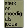 Sterk en moedig als Jozua door Pieter Both