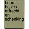 Boom Basics Erfrecht en schenking door Freek Schols