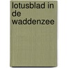 Lotusblad in de Waddenzee by Gerrit Jan Zwier