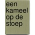 Een kameel op de stoep