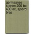 Germaanse Stenen 200 BC - 400 AC, Sjoerd Bras