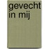 Gevecht in mij