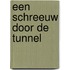 EEN SCHREEUW DOOR DE TUNNEL