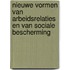 Nieuwe vormen van arbeidsrelaties en van sociale bescherming
