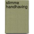 Slimme handhaving