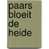 Paars bloeit de heide