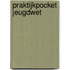 Praktijkpocket Jeugdwet