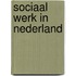 Sociaal werk in Nederland