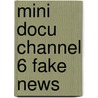 Mini docu Channel 6 Fake News by Peter Paul Kleinlooh