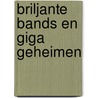 Briljante bands en giga geheimen by Liz Pichon