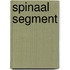 Spinaal segment
