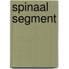 Spinaal segment door Onbekend