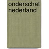 Onderschat Nederland by Diederik Samwel