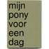 Mijn pony voor een dag