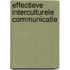 Effectieve Interculturele Communicatie