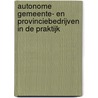 Autonome gemeente- en provinciebedrijven in de praktijk door Stefan Ruysschaert