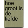 Hoe groot is de liefde door Anna van Praag