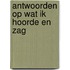 Antwoorden op wat ik hoorde en zag