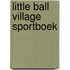 Little Ball Village sportboek