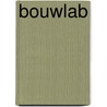 Bouwlab by Tammy Enz