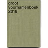 Groot voornamenboek 2018 door Femke van Werkhoven