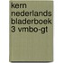 KERN Nederlands bladerboek 3 vmbo-gt