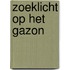 Zoeklicht op het gazon