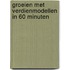 Groeien met verdienmodellen in 60 minuten