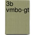3b vmbo-gt