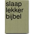 Slaap lekker Bijbel