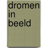 Dromen in beeld by Nora Roberts