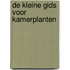 De kleine gids voor kamerplanten