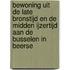 Bewoning uit de late bronstijd en de midden ijzertijd aan de Busselen in Beerse