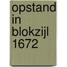 Opstand in Blokzijl 1672 door Dik Delfsma