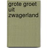 Grote groet uit Zwagerland door Joost Zwagerman
