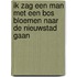Ik zag een man met een bos bloemen naar de Nieuwstad gaan