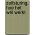 Zelfsturing, hoe het wél werkt