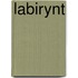 Labirynt