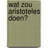 Wat zou Aristoteles doen?