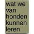 Wat we van honden kunnen leren